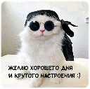 Аватар